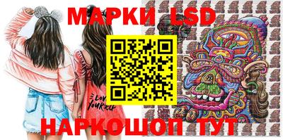 индика Можга