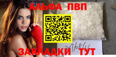 индика Можга