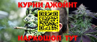 индика Можга