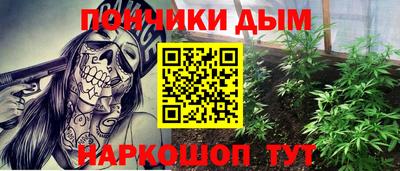 индика Можга