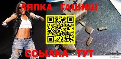 индика Можга