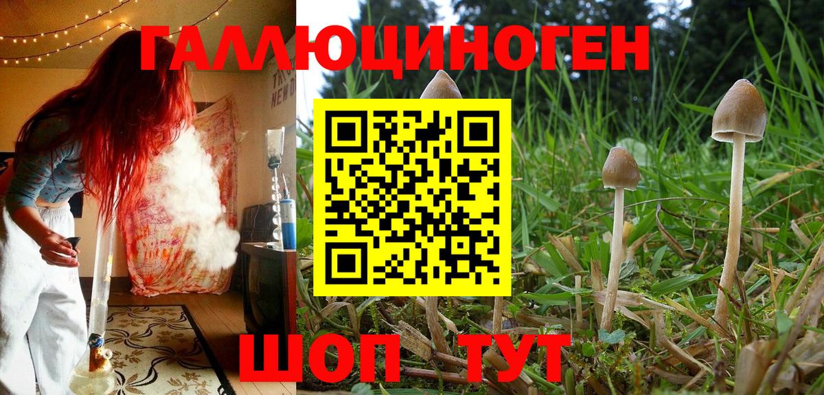 Верхняя Пышма  где можно купить   Вход с VPN  Псилоцибиновые грибы Magic Shrooms  Псилоцибиновые грибы Magic Shrooms 